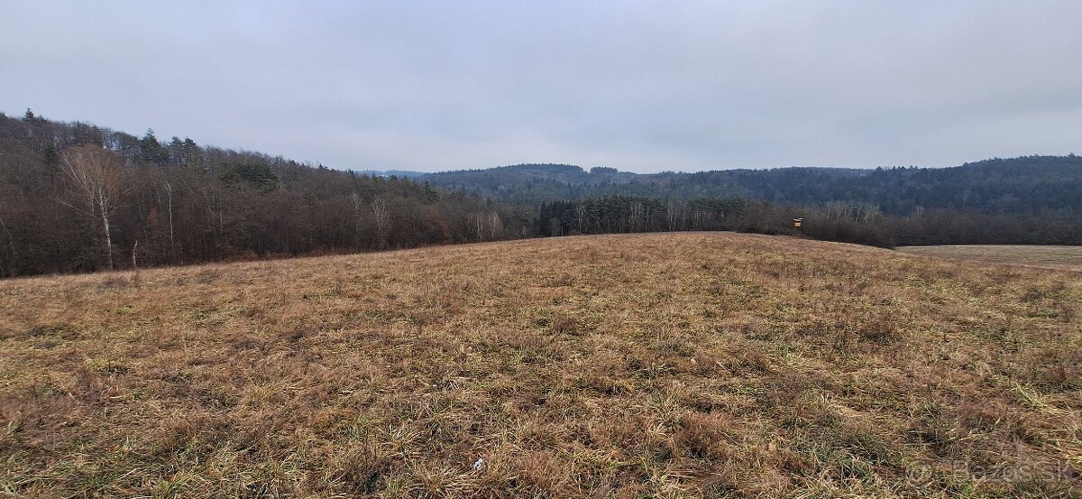 Rekreačný pozemok/orná pôda 3489m2 Holience