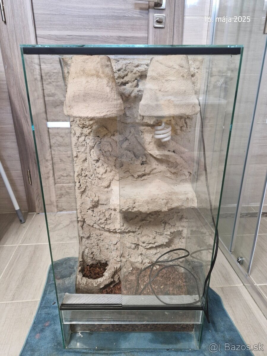 Terarium