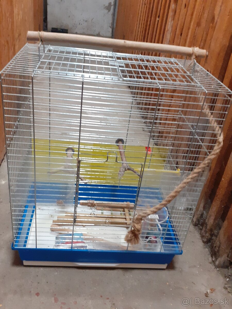 Predám klietku