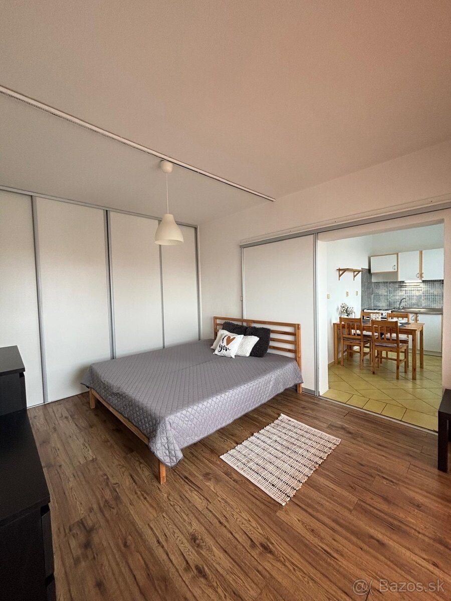 Prenajmem 1- izbový byt