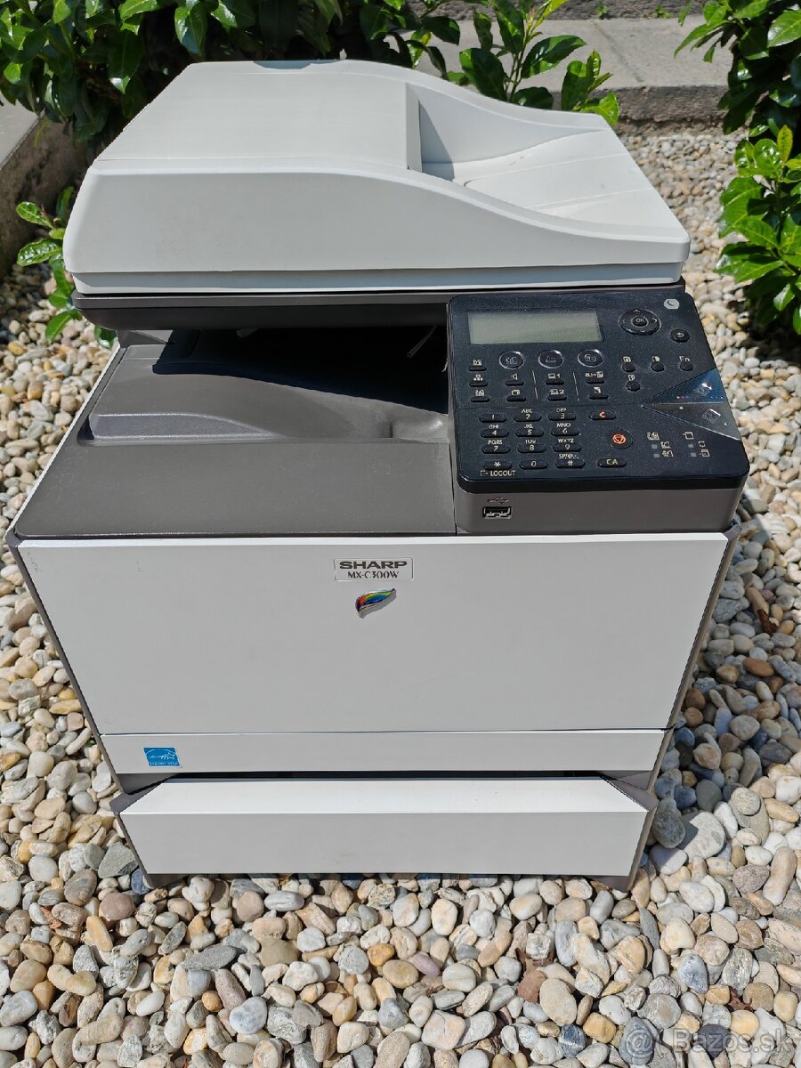 Sharp MX-C300W