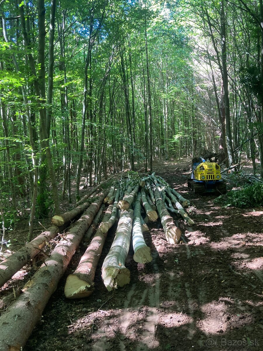 Práca v lese