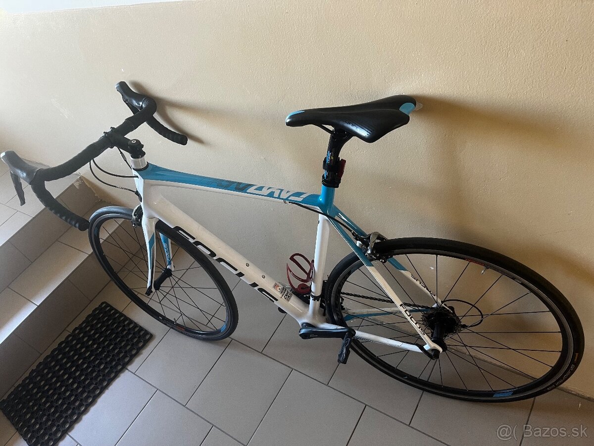 FOCUS Cayo XL