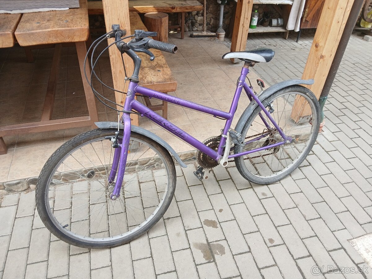 dámsky bicykel