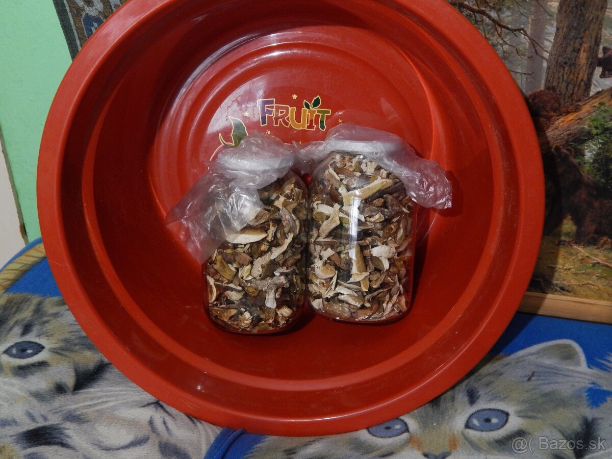 Predám sušené dubáky.