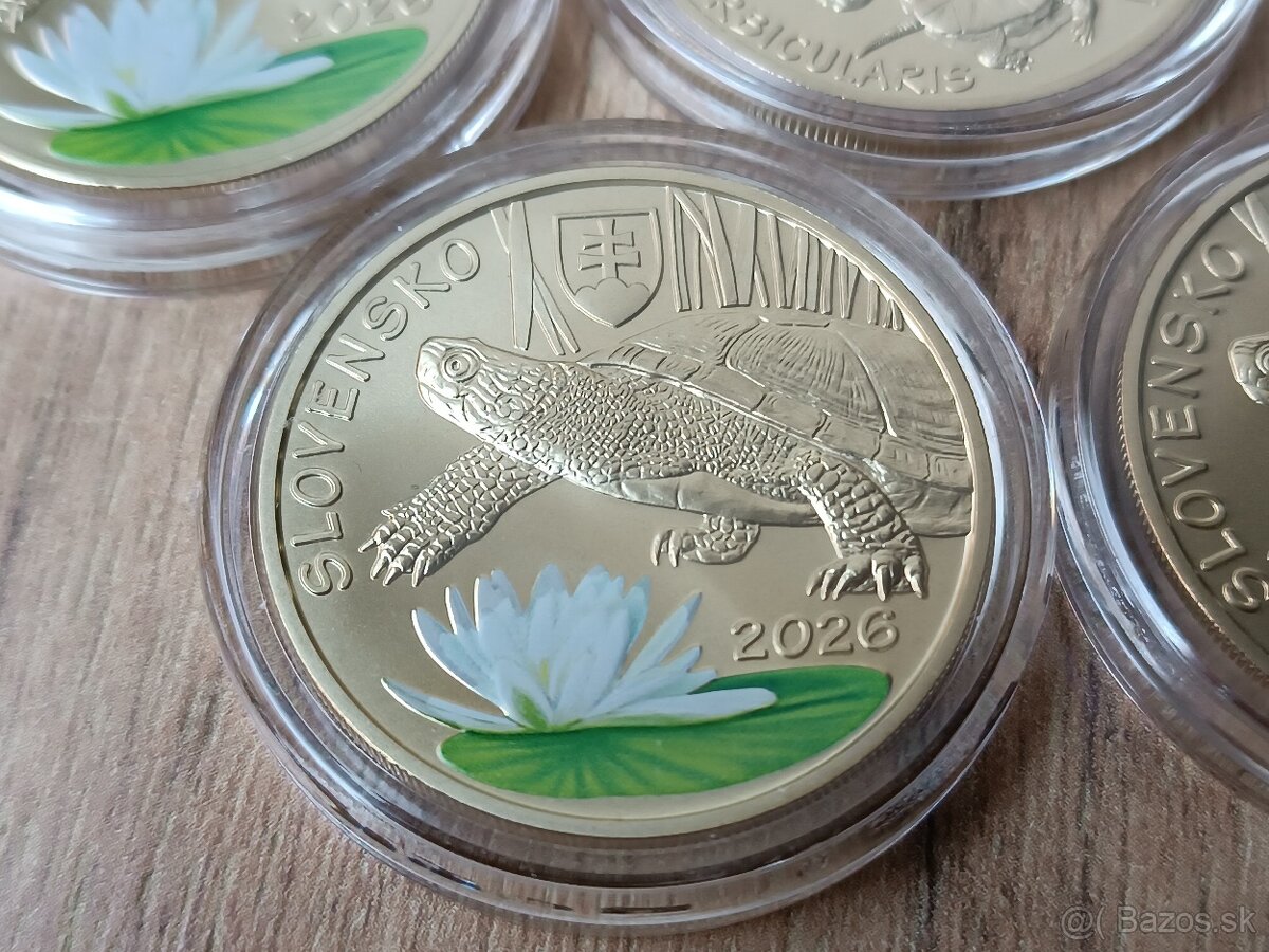 5€ Fauna a Flóra, Korytnačka