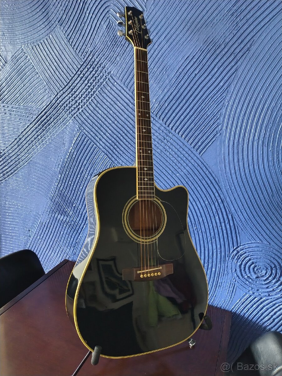 Elektroakustická gitara Takamine EF341C
