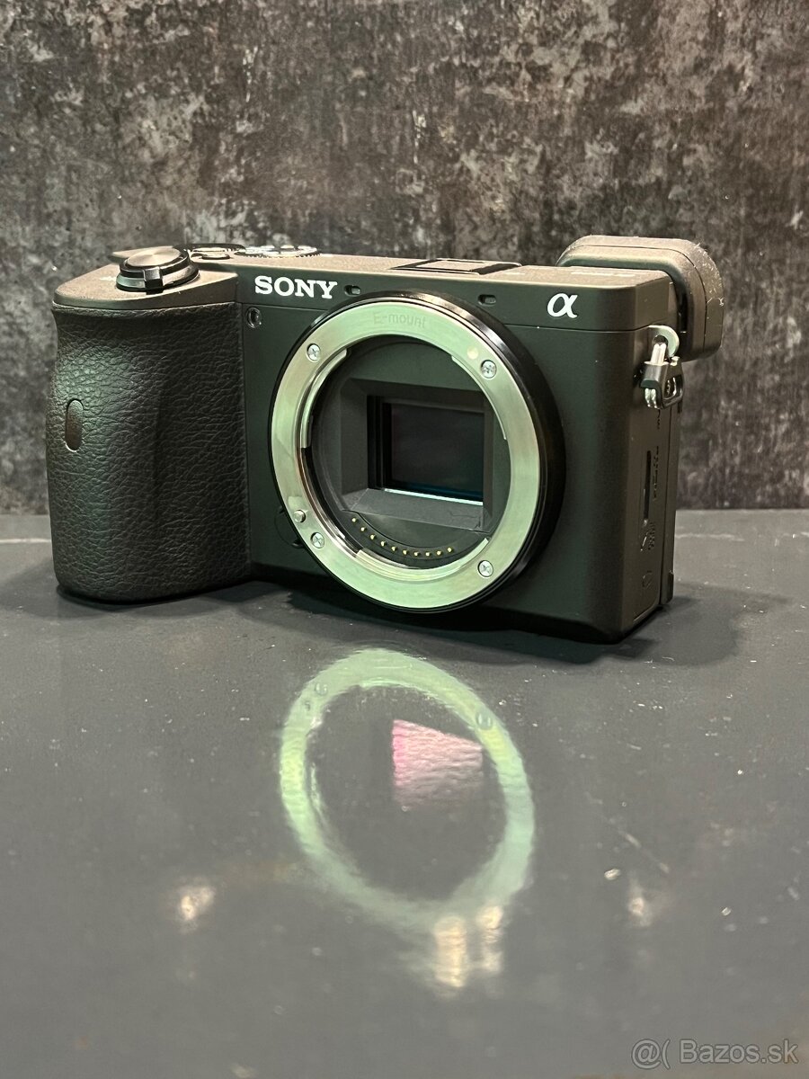 Sony Alpha A6600