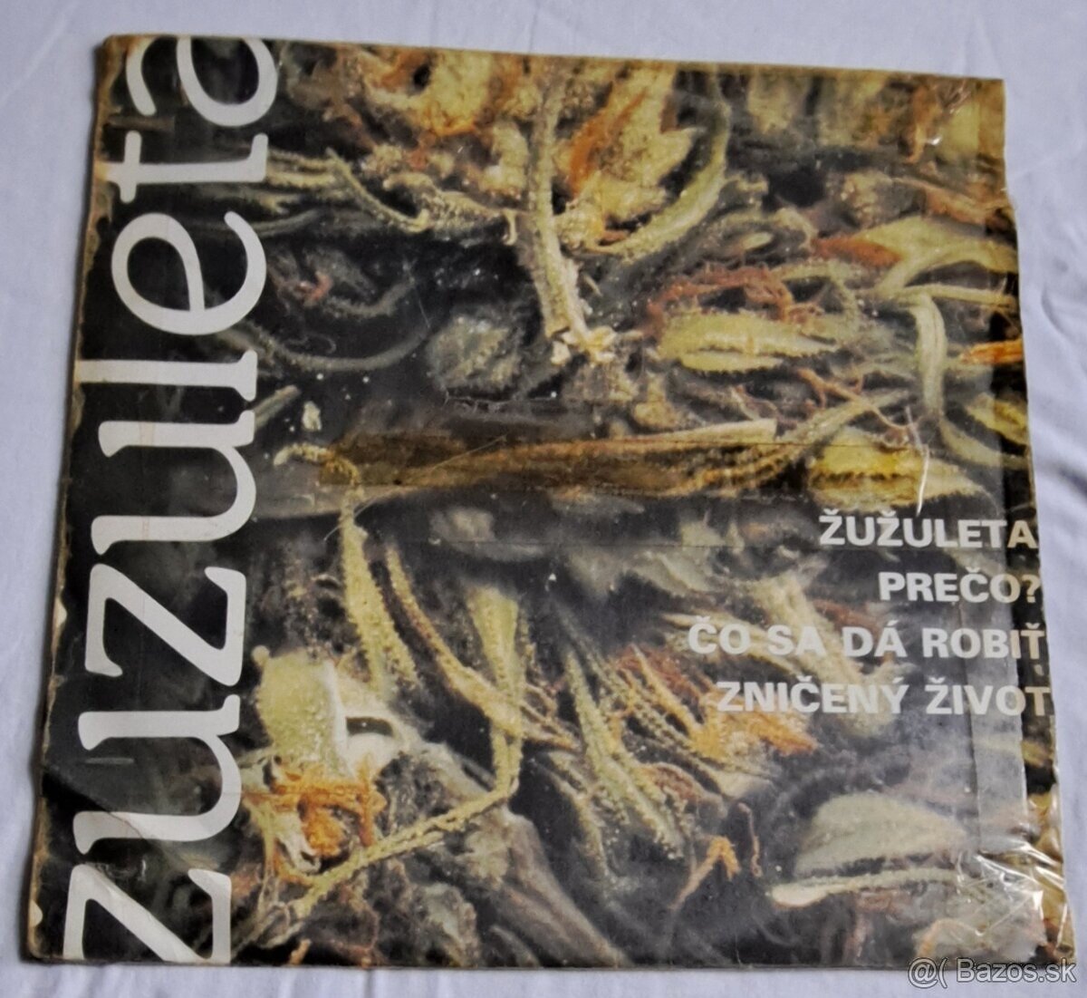 Žužuleta vinyl Kam ideme Prečo Platne