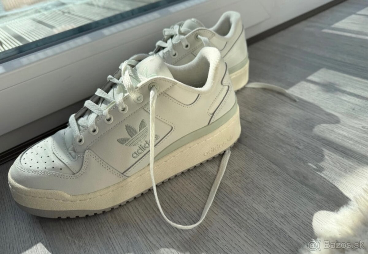 Adidas forum bold