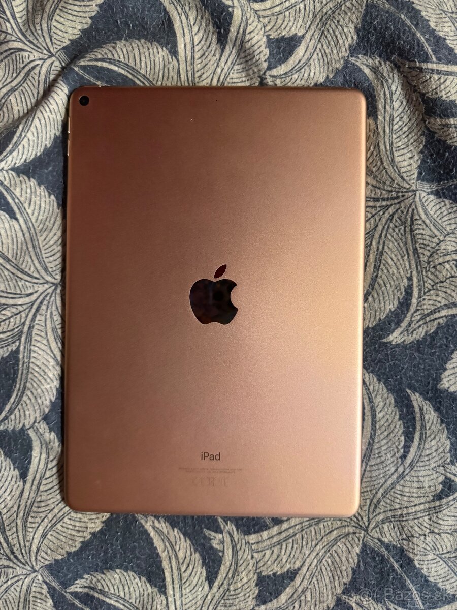 Apple Ipad