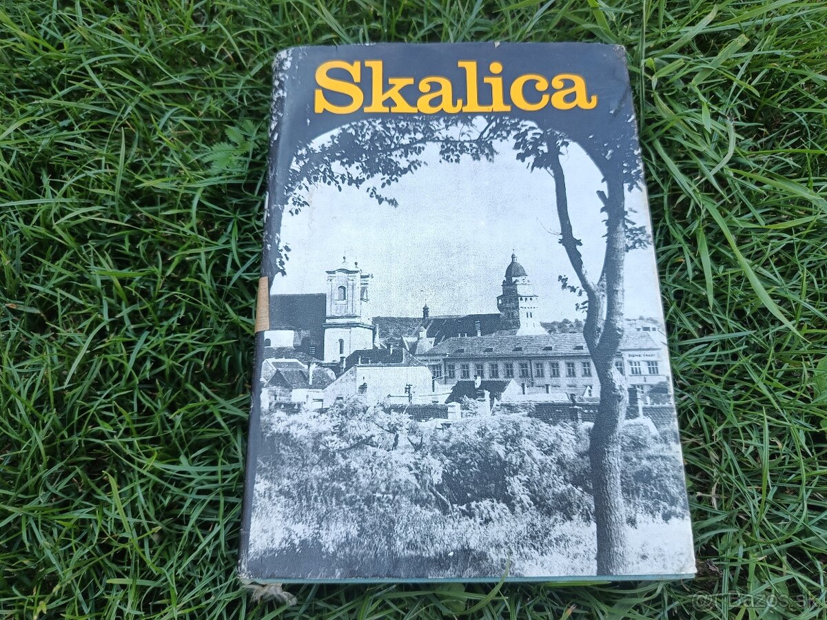 Skalica v minulosti a dnes 1968