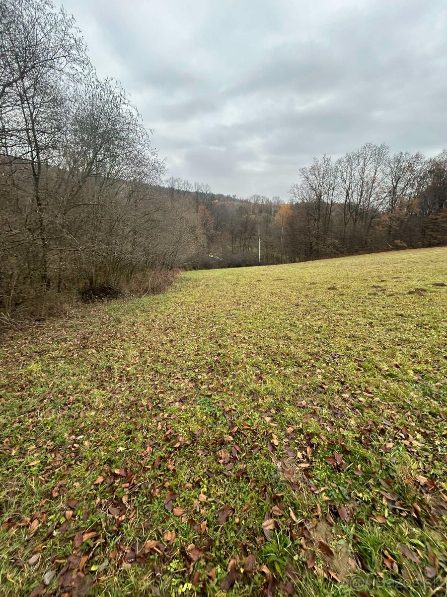 Predám pozemok pri Mníchovskom potoku