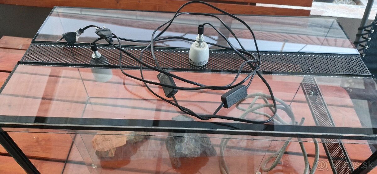 Terarium
