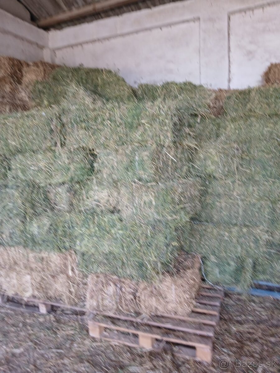 Predam male baliky lucerky,dateliny