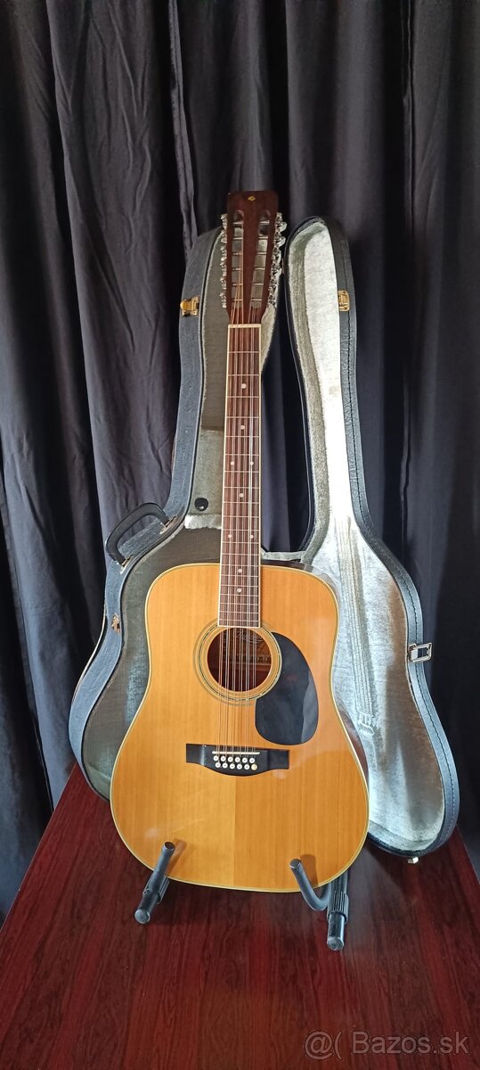 12-strunová akustická gitara + kufor
