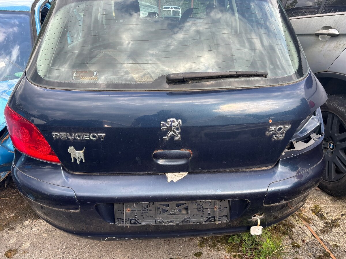 Peugeot 307