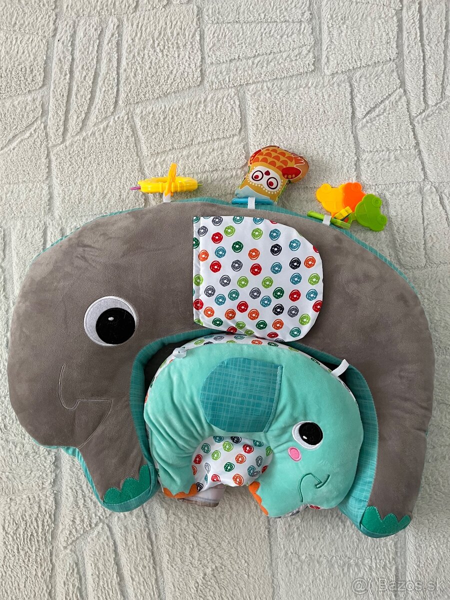 Predam multifunkcny vankus Bright Starts Two