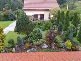 Ponúkam kosenie, tepovanie a úpravu záhrad – Bratislava aoko