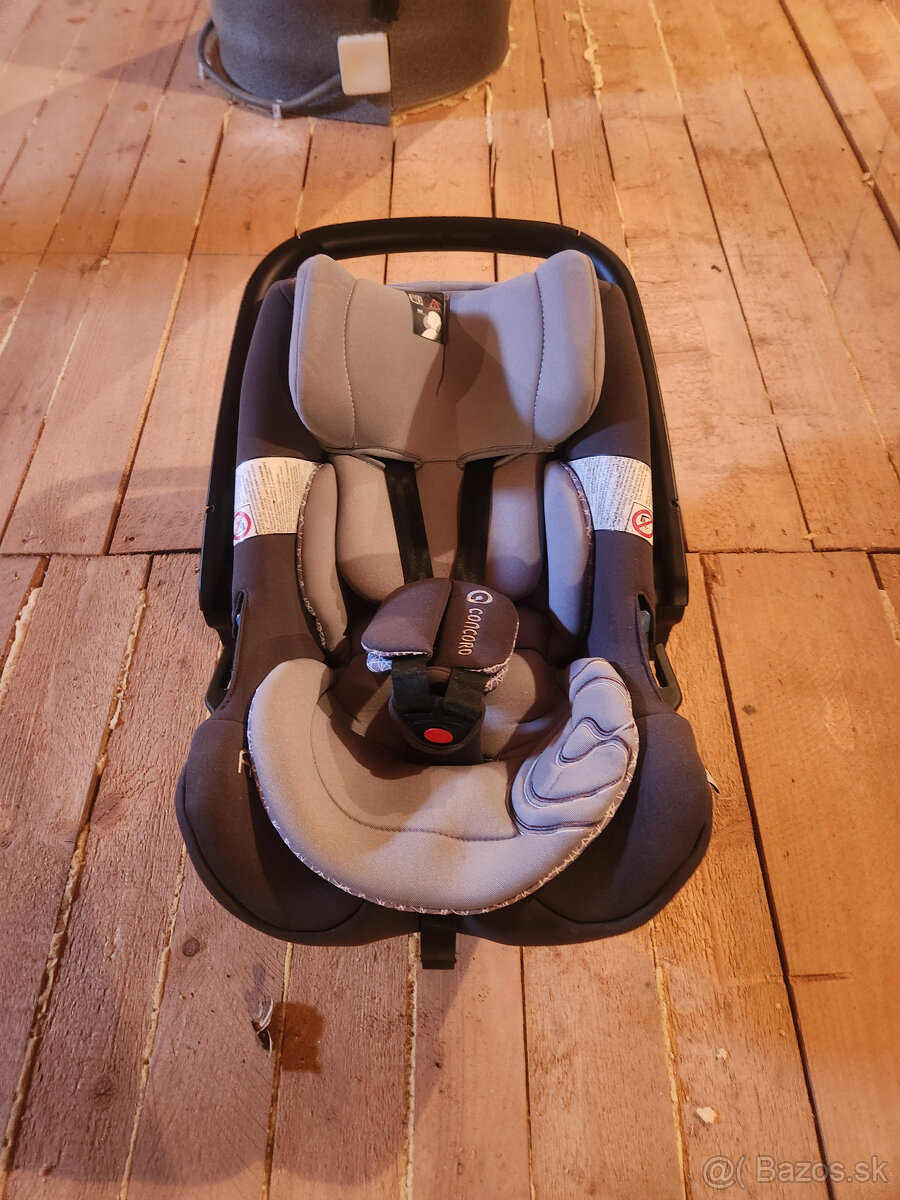 Concord Wanderer 3v1