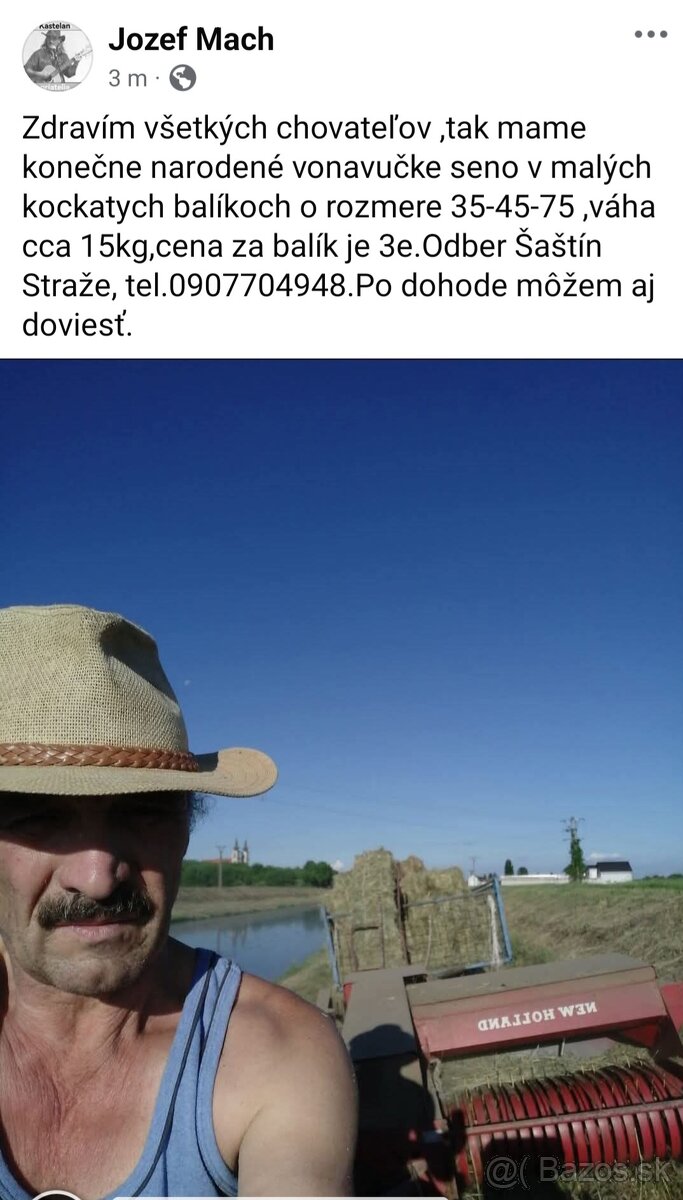 Seno