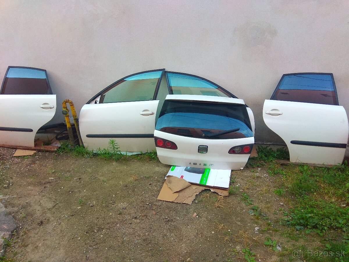 Ibiza 6l dvere
