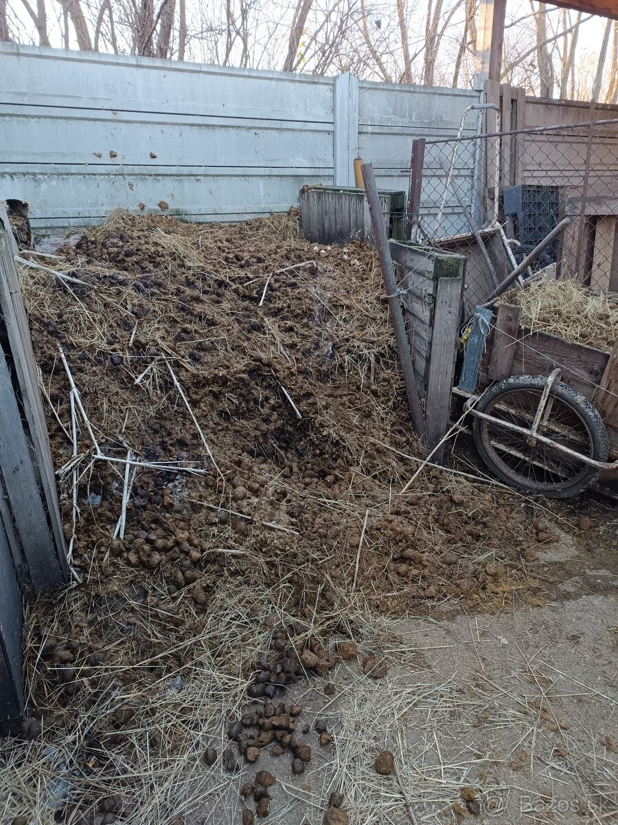 Darujem konský hnoj