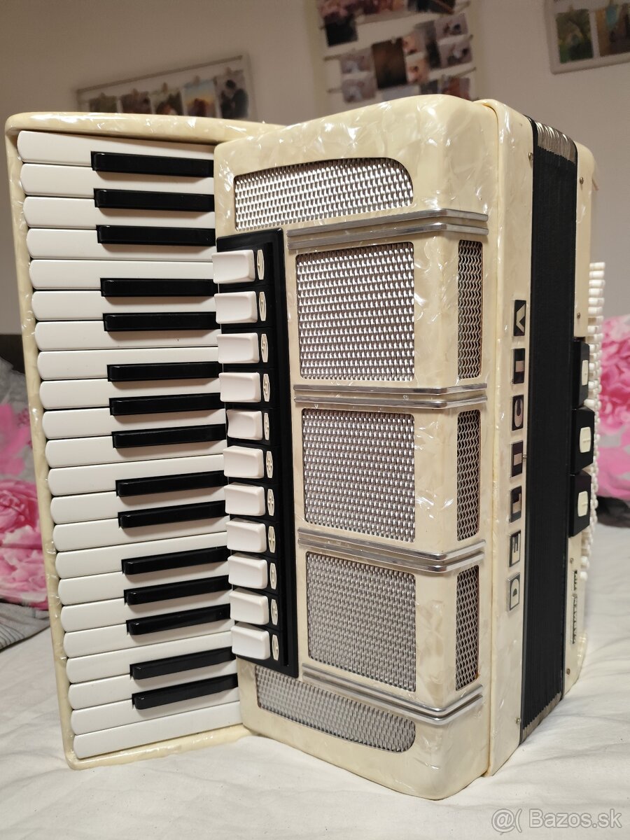 Harmonika delicia carnen