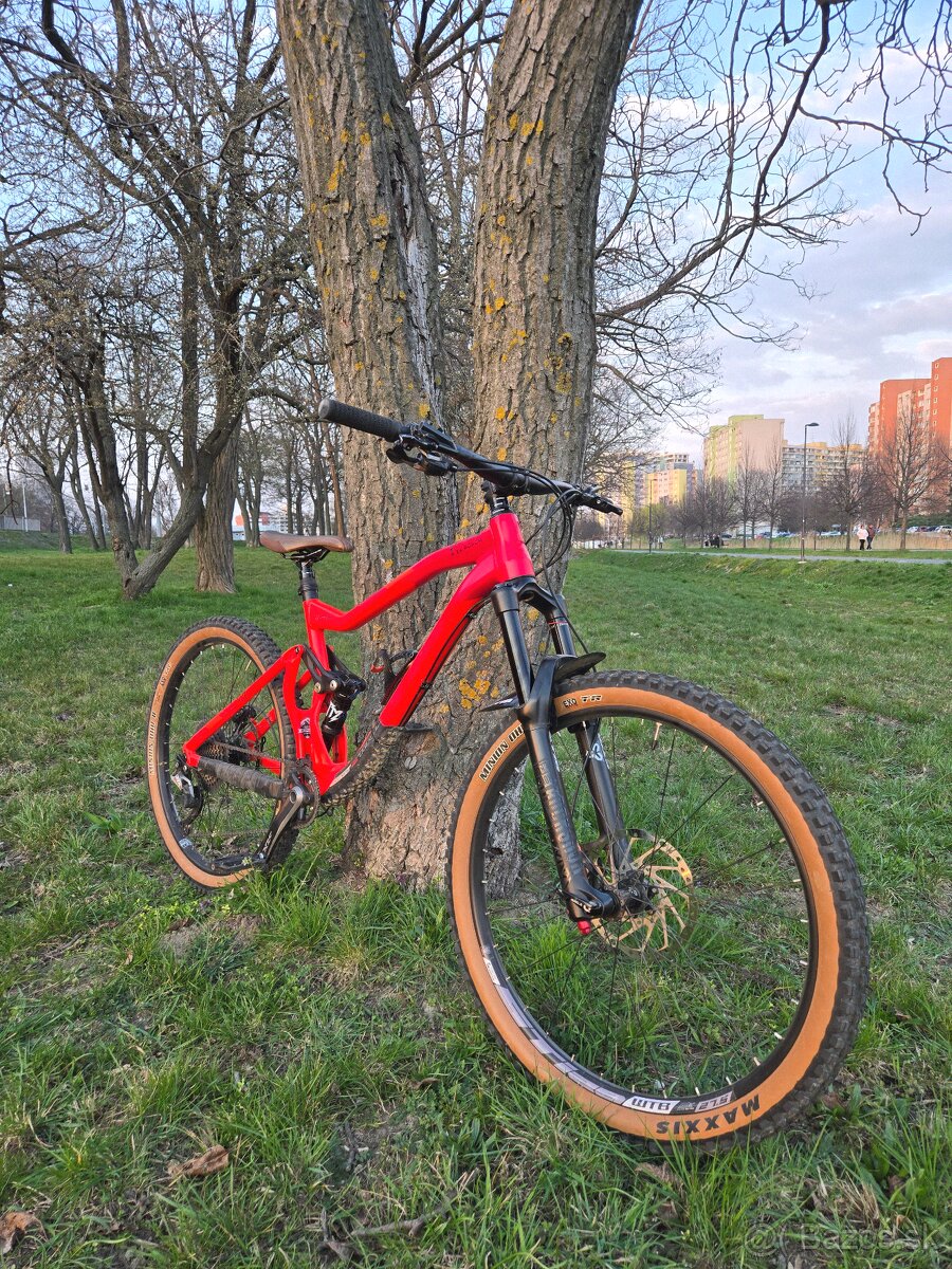 CTM Scroll Expert 2019