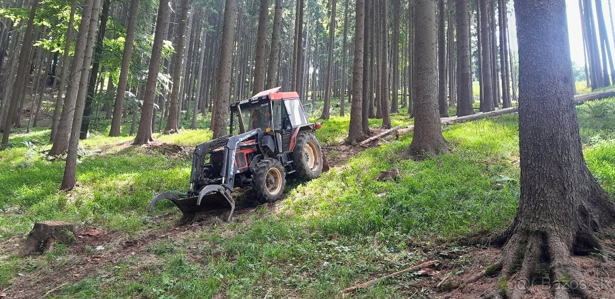 Ťažba, manipulácia a odvoz dreva.