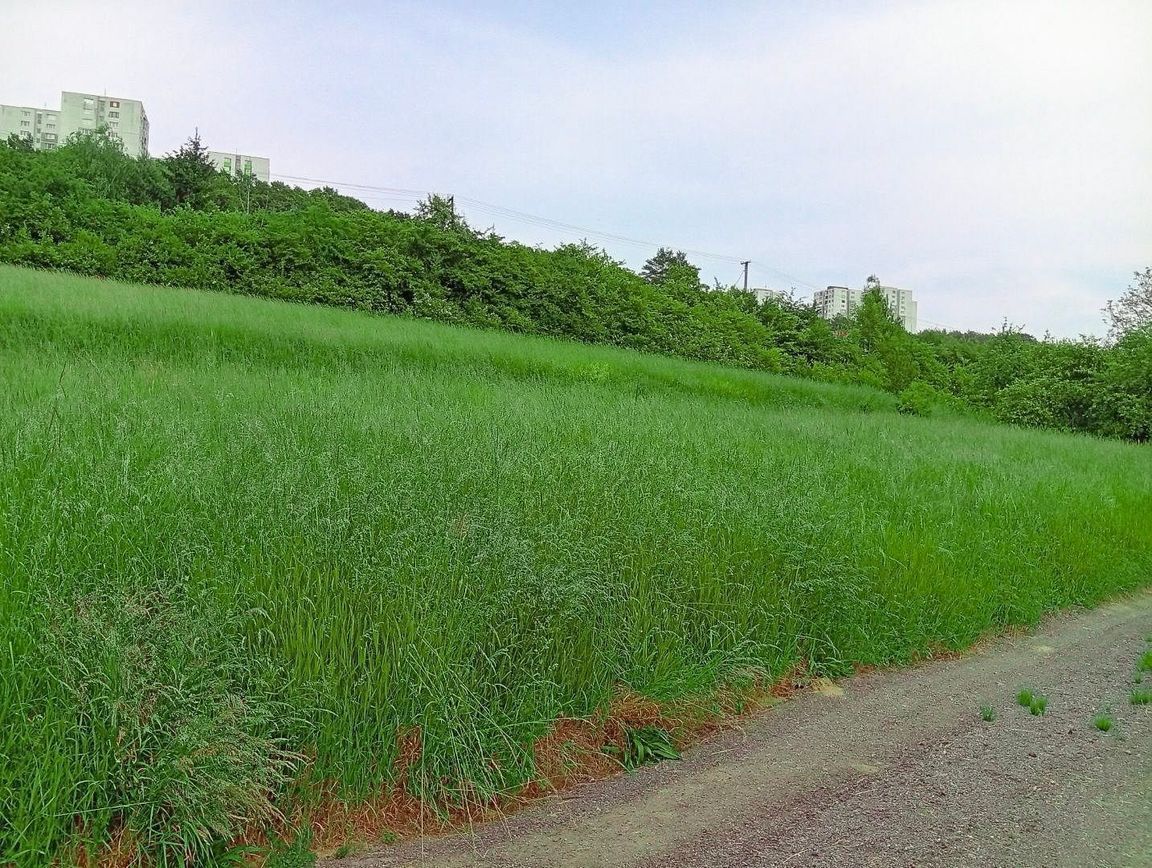 Pozemok, Jelšové,  Považská Bystrica