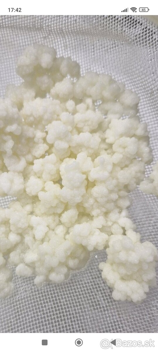 Predám tibetskú hubu