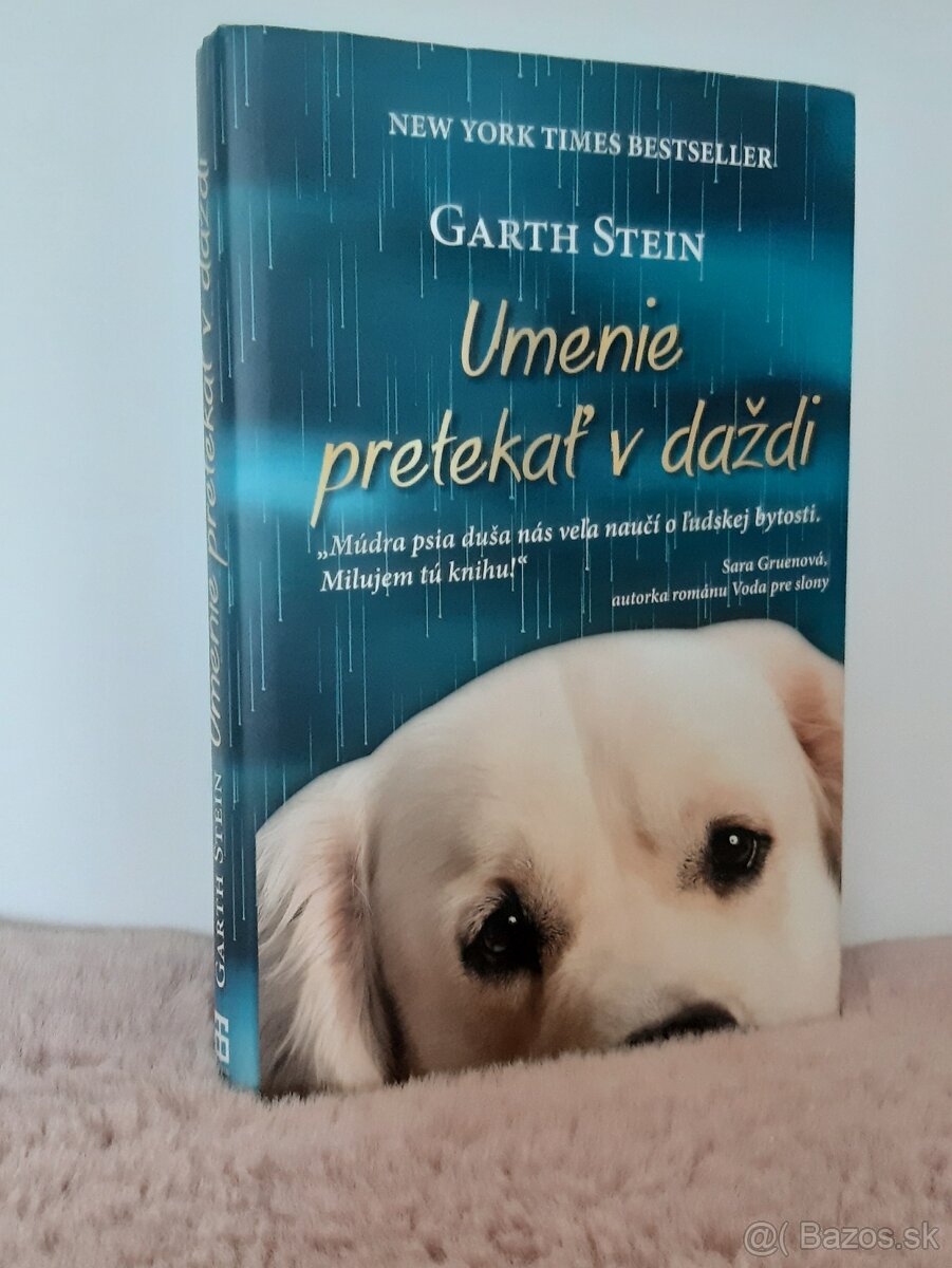 Umenie pretekať v daždi