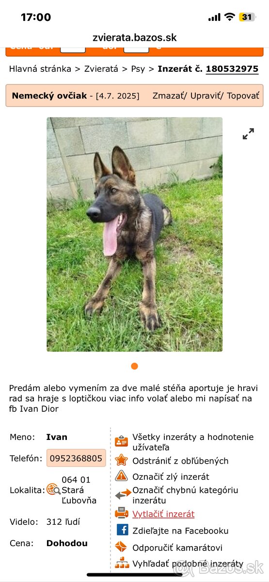 Nemecky ovčiak