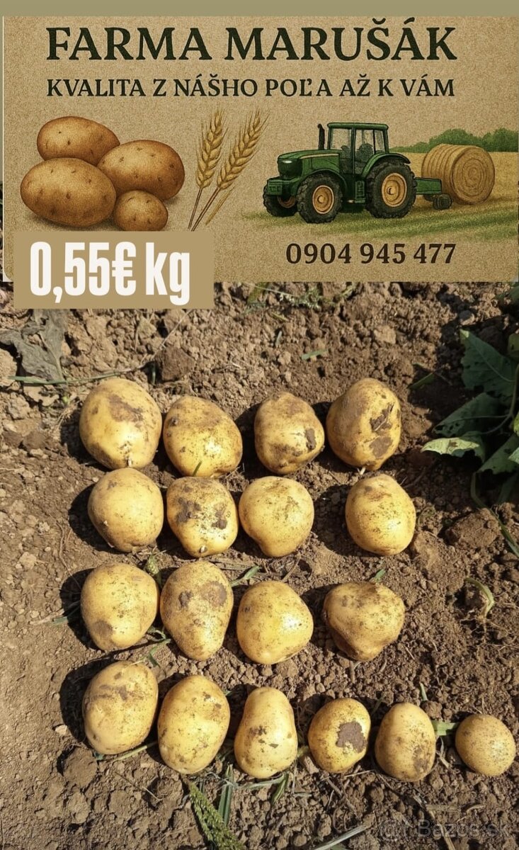 Predám domáce zemiaky Marabel