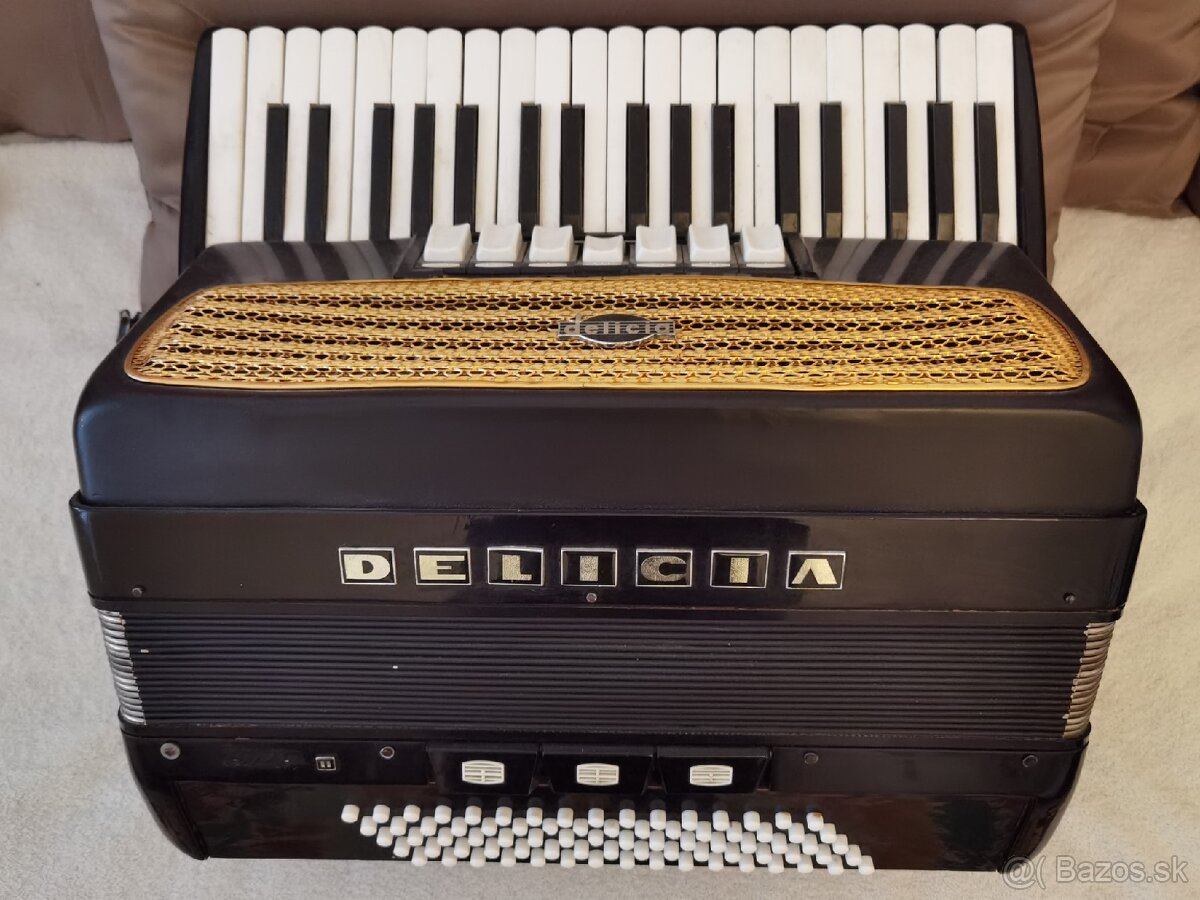 Akordeon Delicia Carmen II