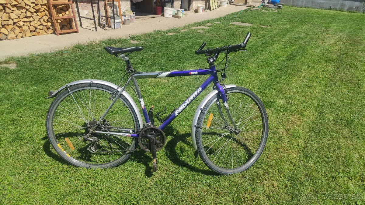 Pánsky bicykel