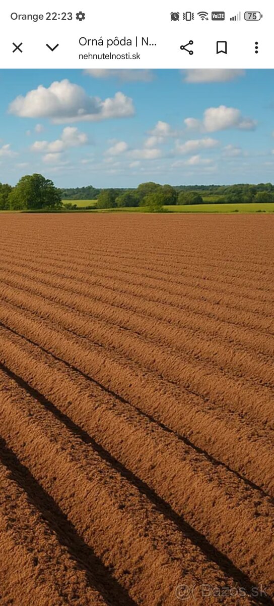 Orná pôda