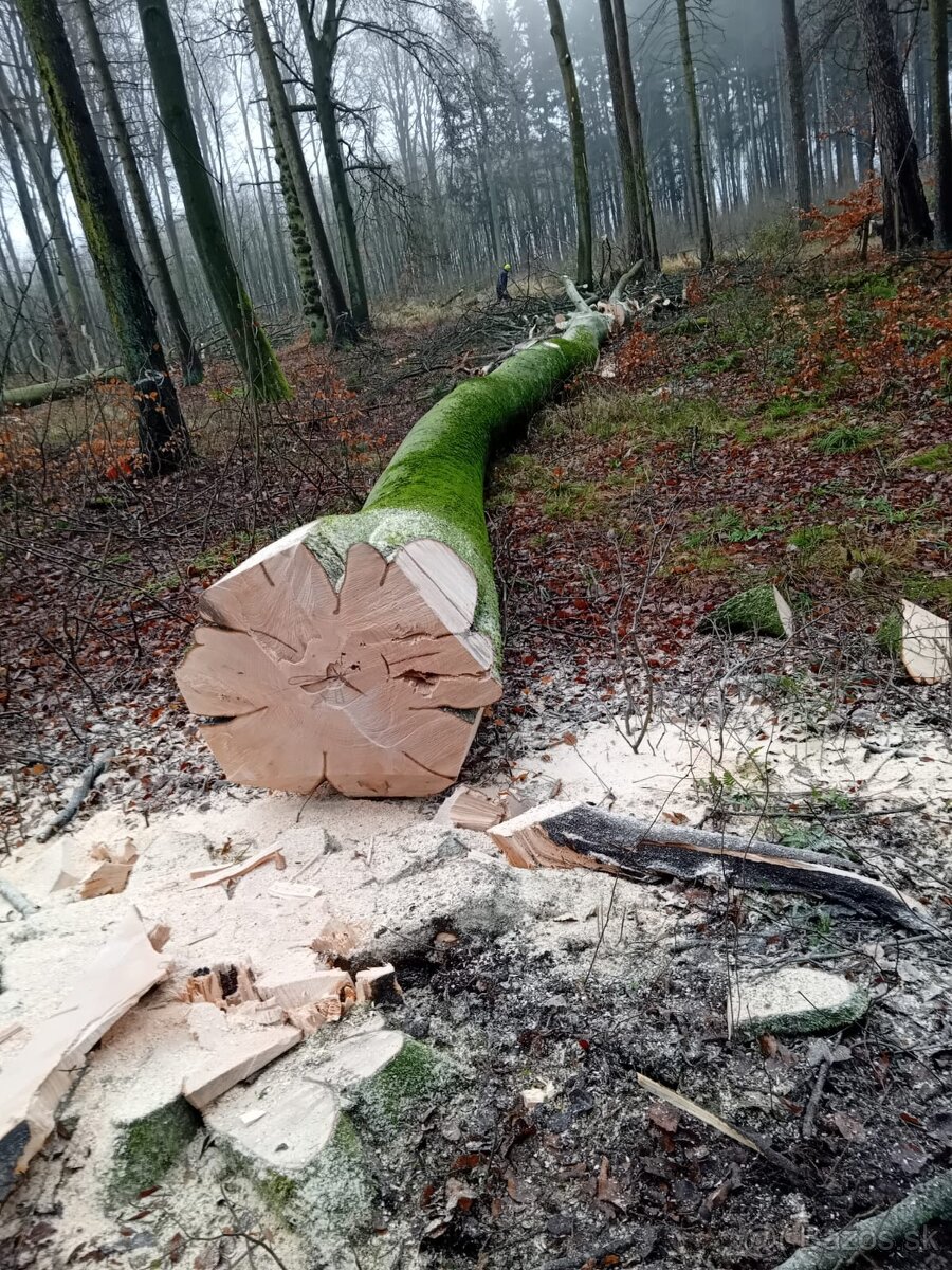 Pilcik / Pilcik Nemecko