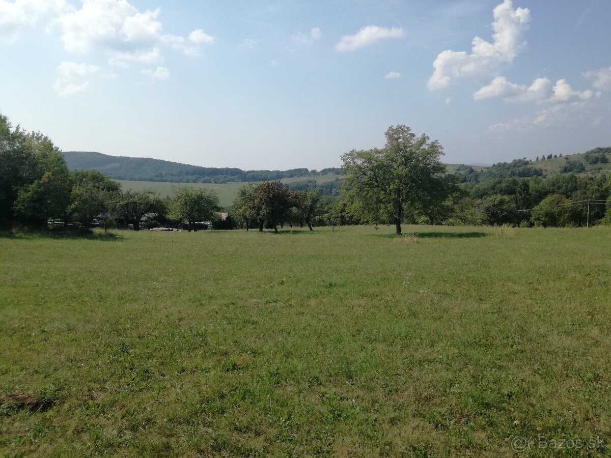 Pozemok - trvalý trávnatý porast