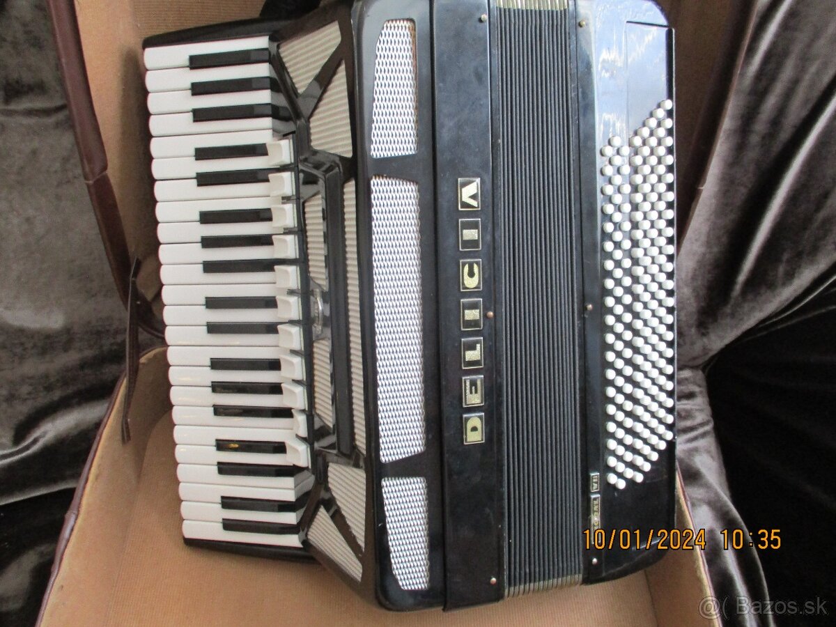 harmonika delicia