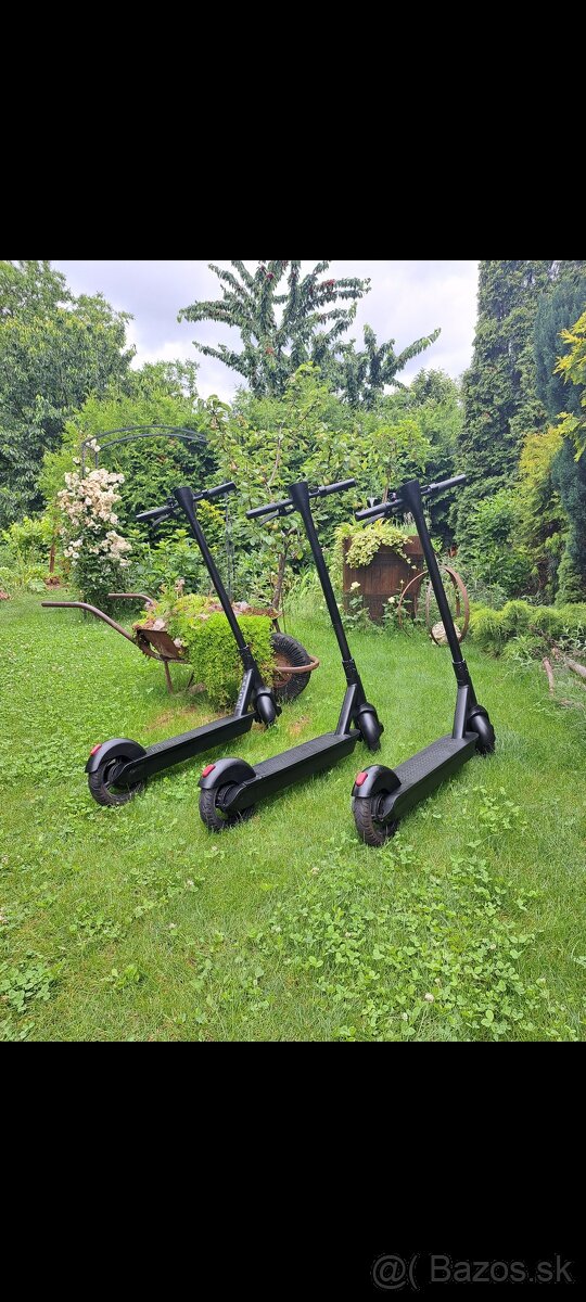 Elektricka kolobezka bird one