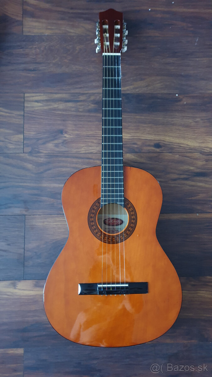 Akustická gitara