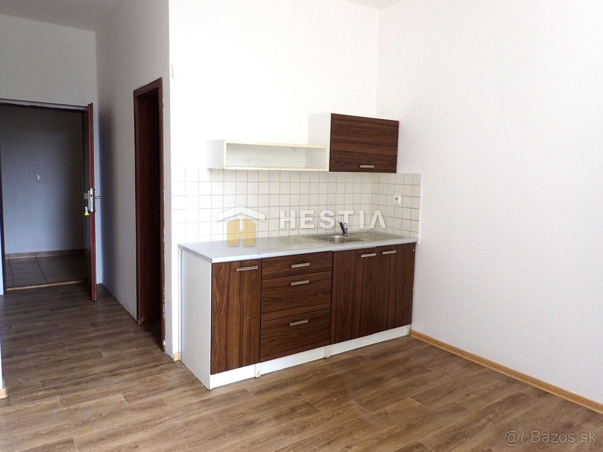 Garsónka priamo v centre mesta