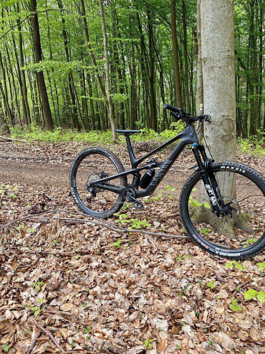 Canyon CF7 2024 L