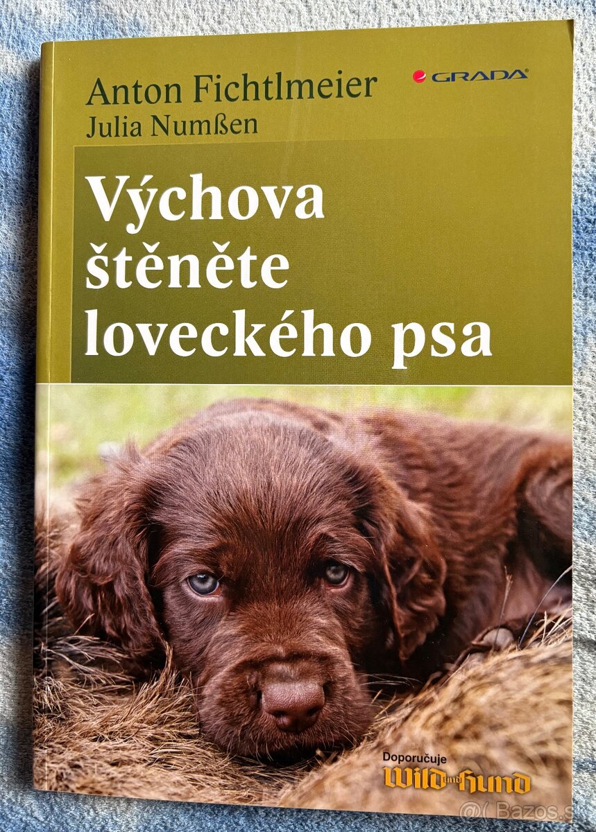 Výchova štěnete loveckého psa