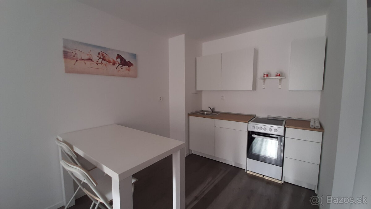 Prenajmem 2 izbový byt v Nitre