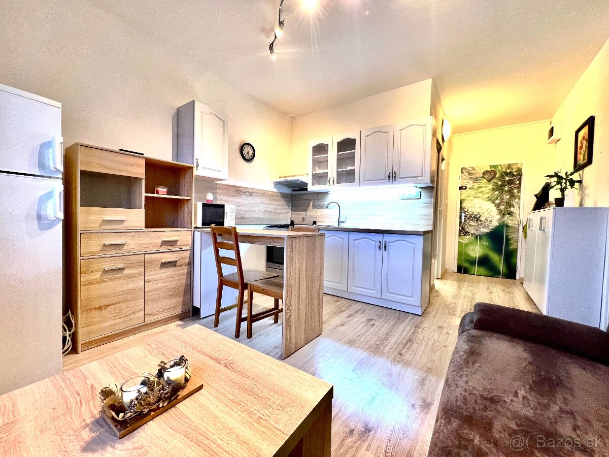 1 izbový klimatizovaný byt s balkónom po kompletnej rekonštr