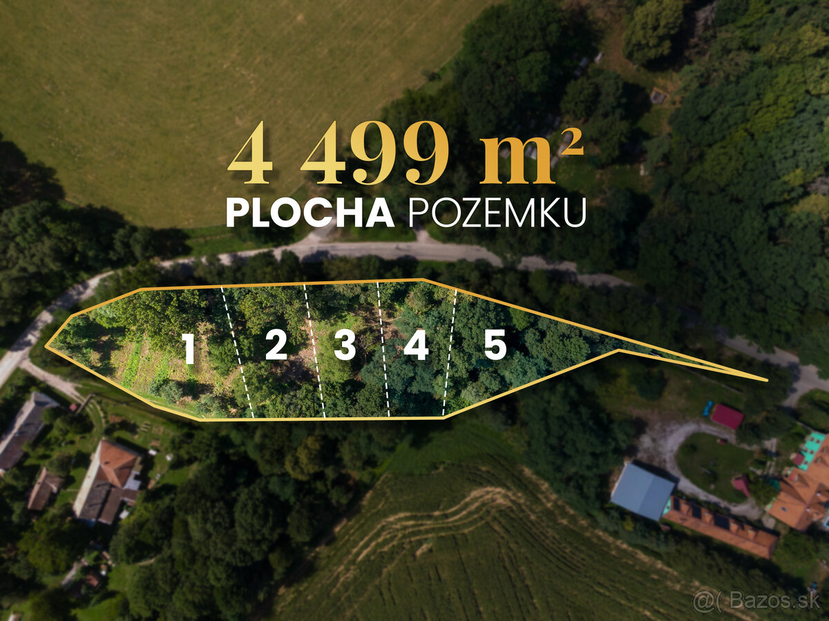 Zaujímavý investičný pozemok | 4 499 m² | Žarnov