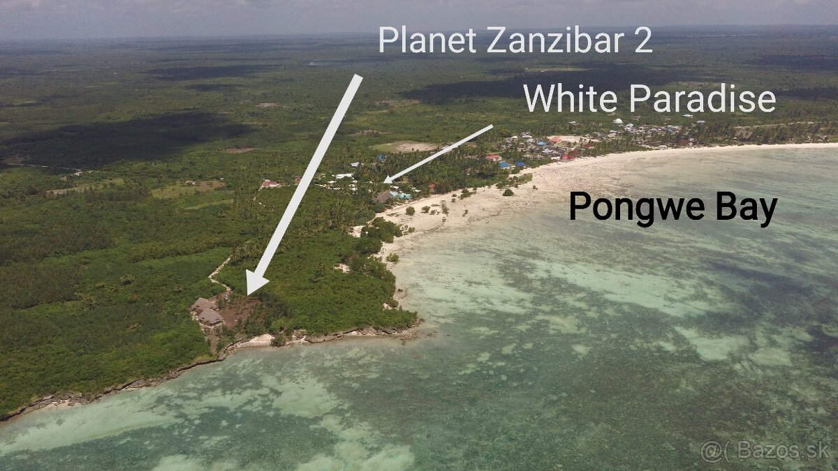Pozemok na brehu Indického oceánu - Zanzibar